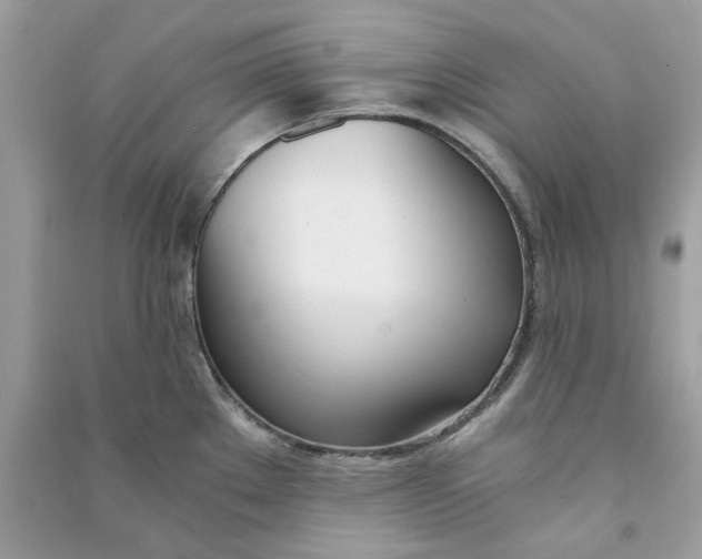 X0000090741289200708101654