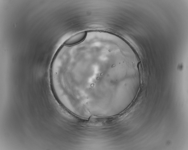 X0000090741291200708101654