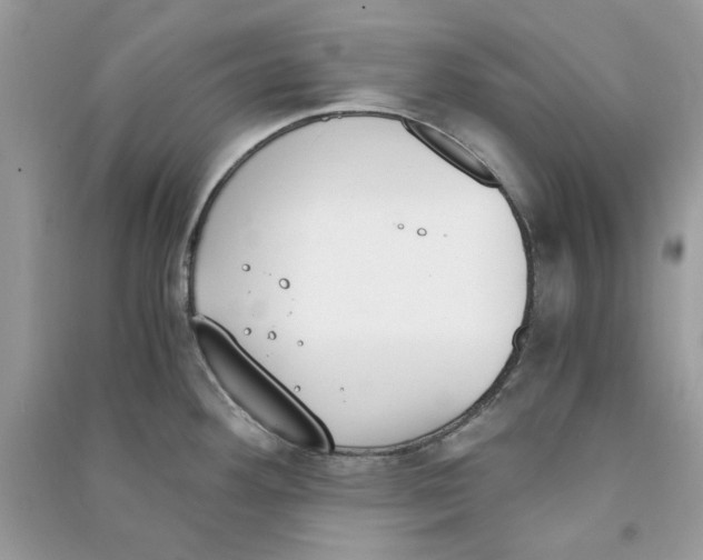 X0000090741292200708101654