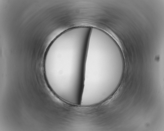 X0000090741293200708101654