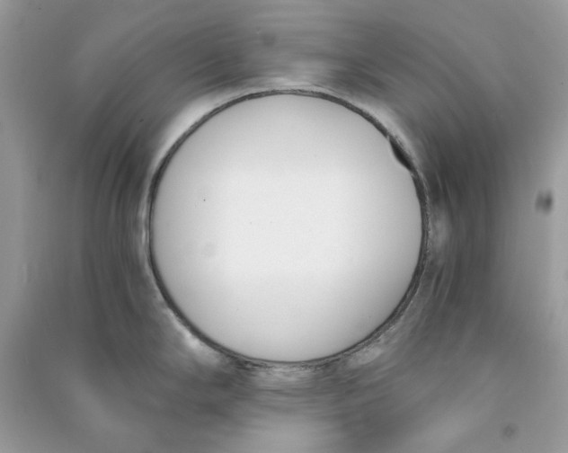 X0000090741294200708101654