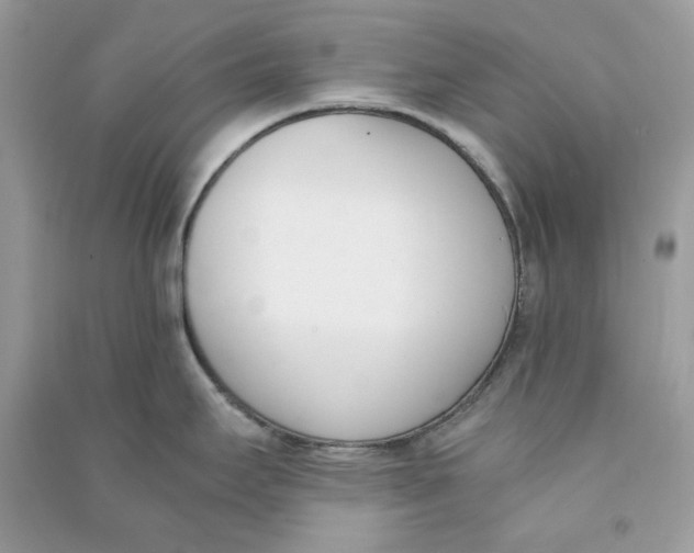 X0000090741295200708101654