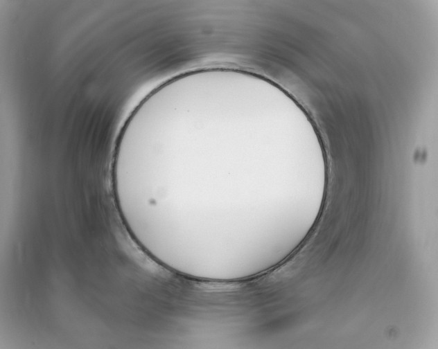 X0000090741296200708101654