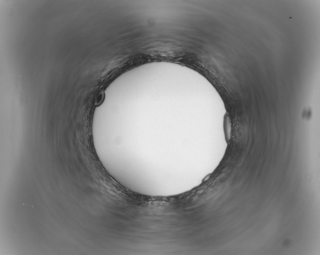 X0000090741297200708101653