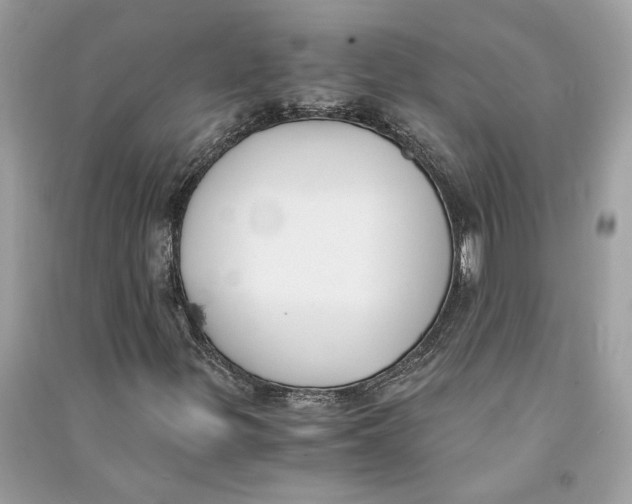 X0000090741299200708101653