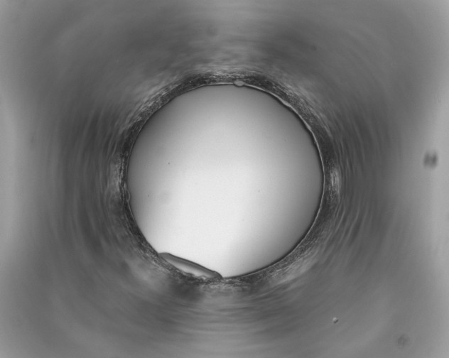 X0000090741300200708101653