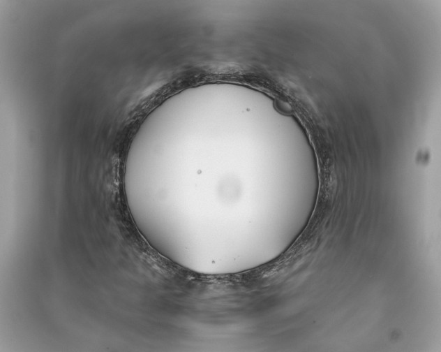 X0000090741301200708101653