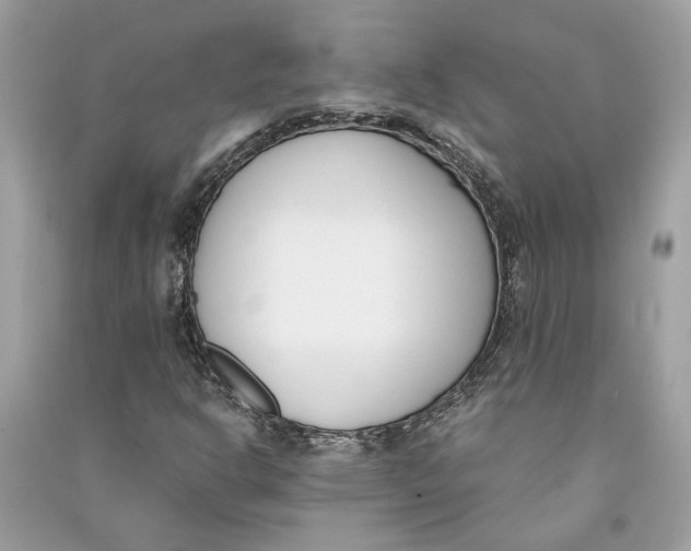 X0000090741302200708101653