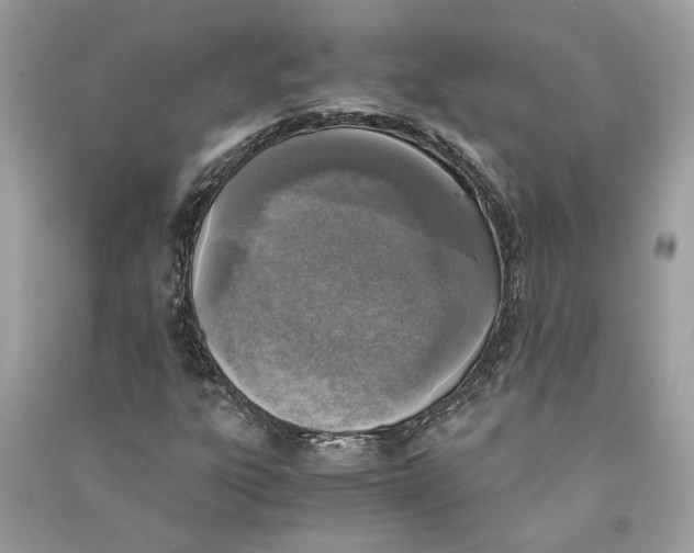 X0000090741303200708101653