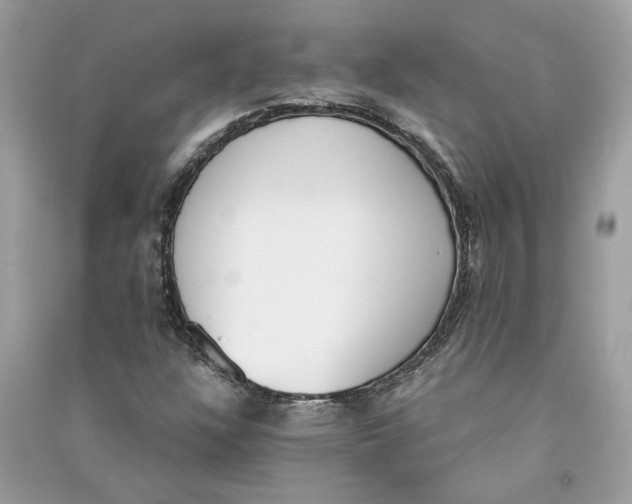 X0000090741304200708101653