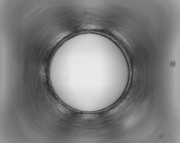 X0000090741305200708101653