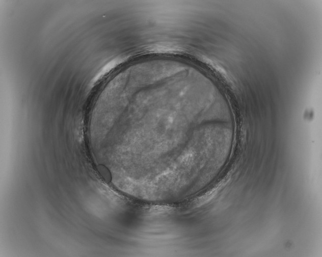 X0000090741306200708101654