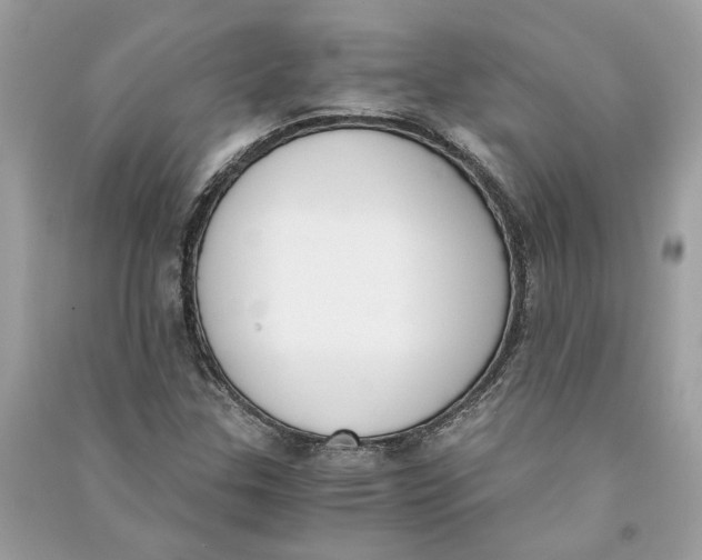 X0000090741307200708101654