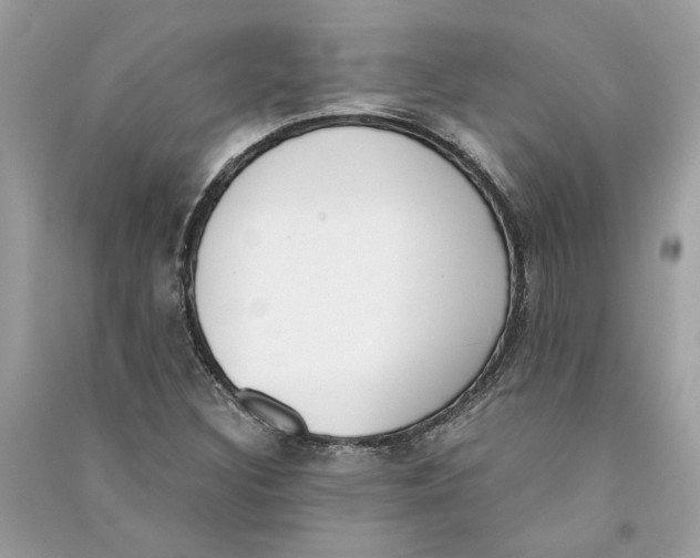 X0000090741308200708101654