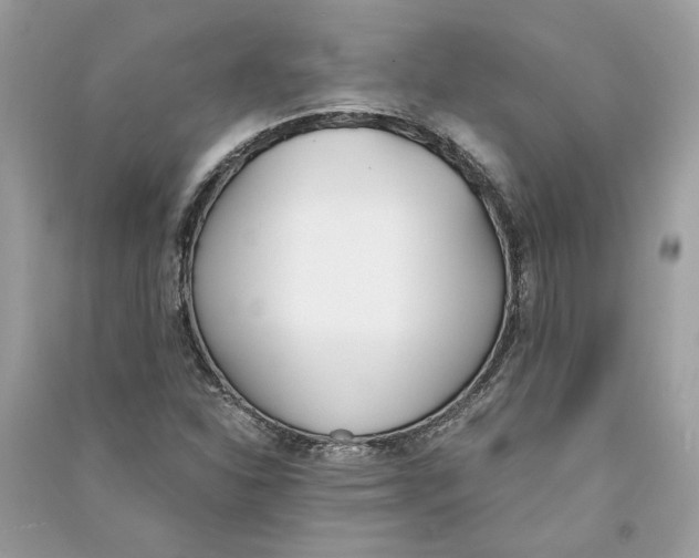 X0000090741310200708101654