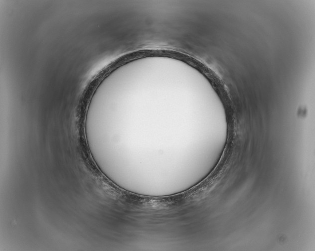 X0000090741311200708101654