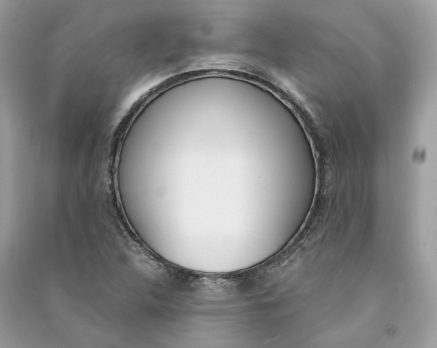 X0000090741312200708101654