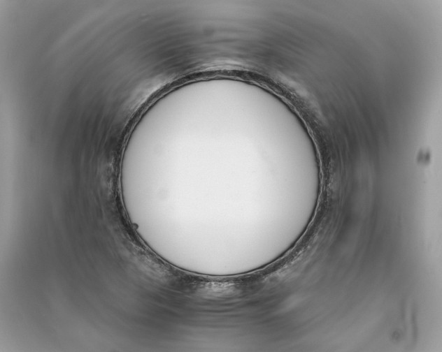 X0000090741313200708101654