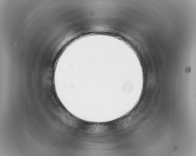 X0000090741314200708101654