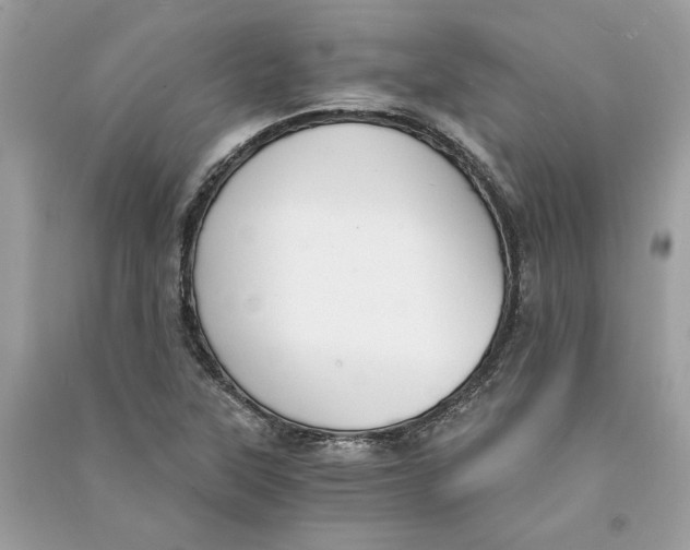 X0000090741315200708101654