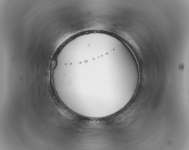 X0000090741316200708101654