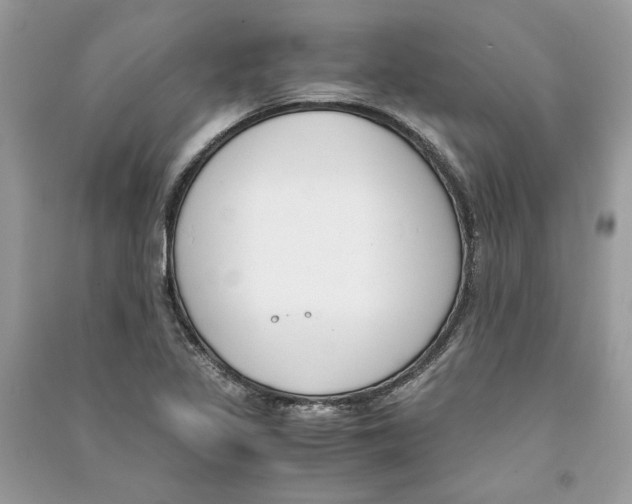 X0000090741317200708101654