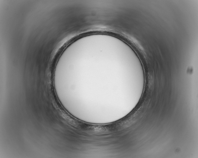 X0000090741318200708101654