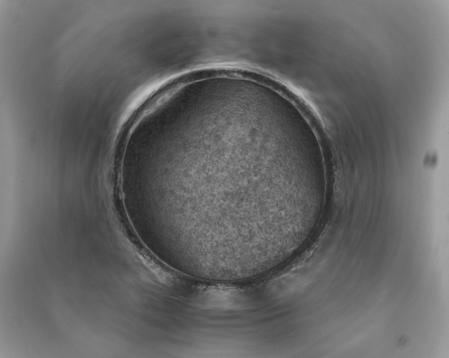 X0000090741319200708101654