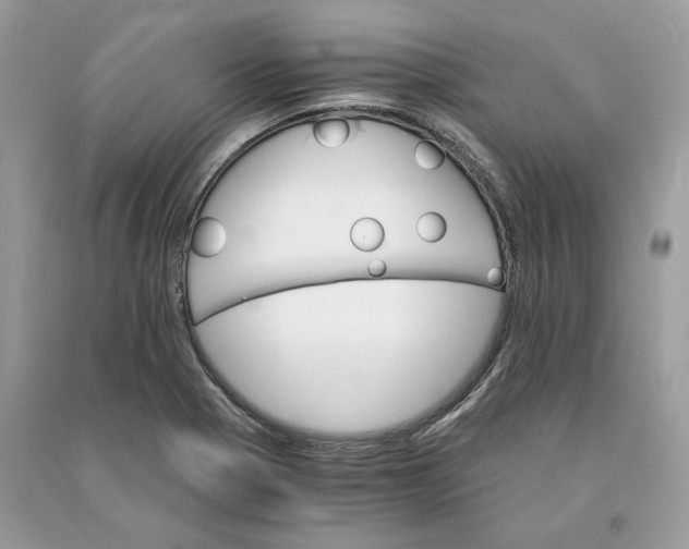 X0000090741321200708101654