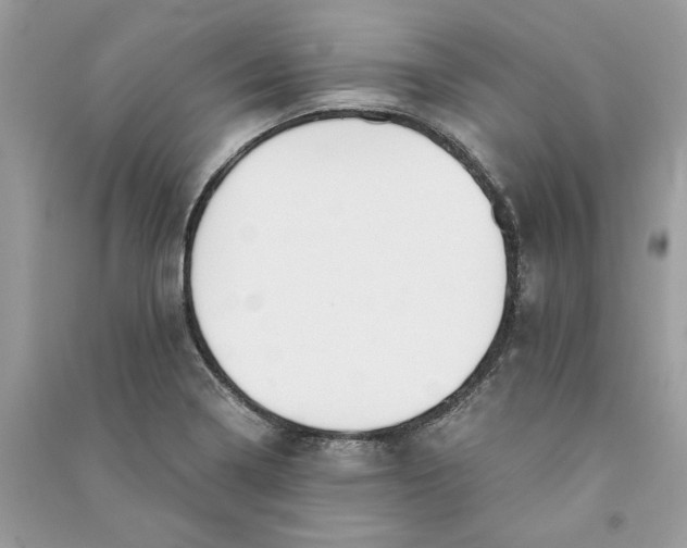 X0000090741322200708101654