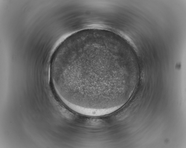 X0000090741323200708101654