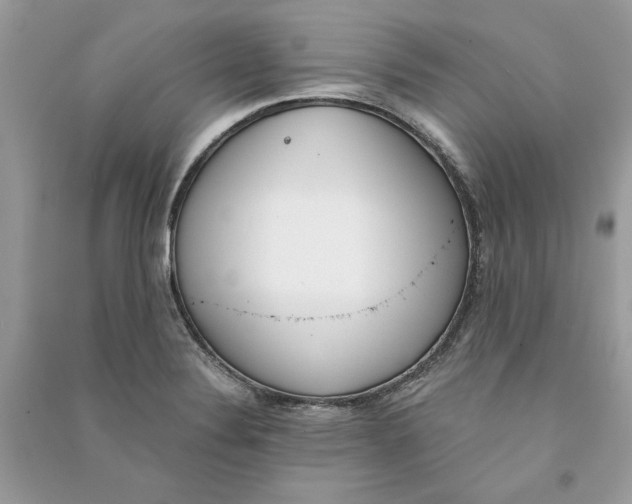 X0000090741324200708101654