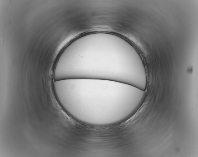 X0000090741325200708101654