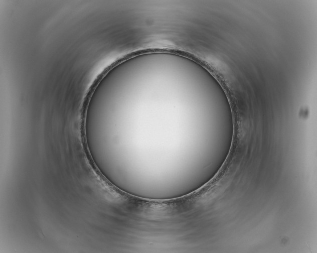 X0000090741326200708101654