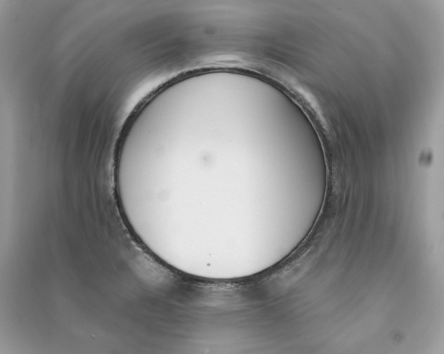 X0000090741328200708101654