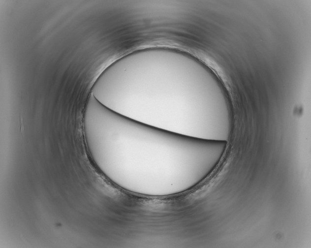 X0000090741329200708101654