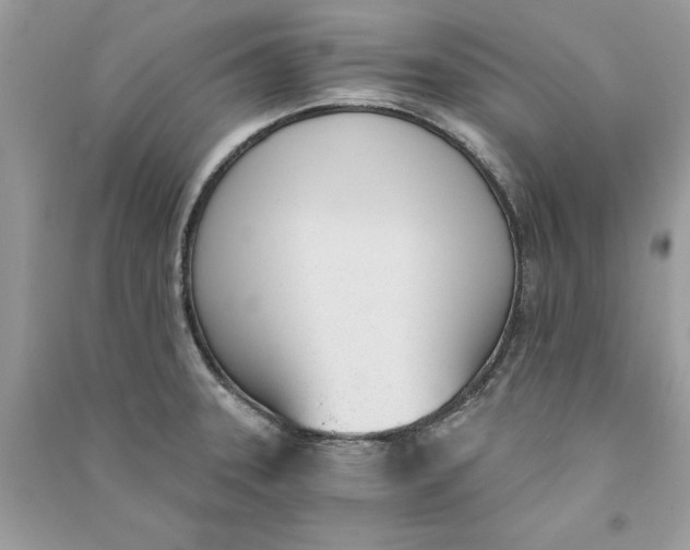 X0000090741331200708101654