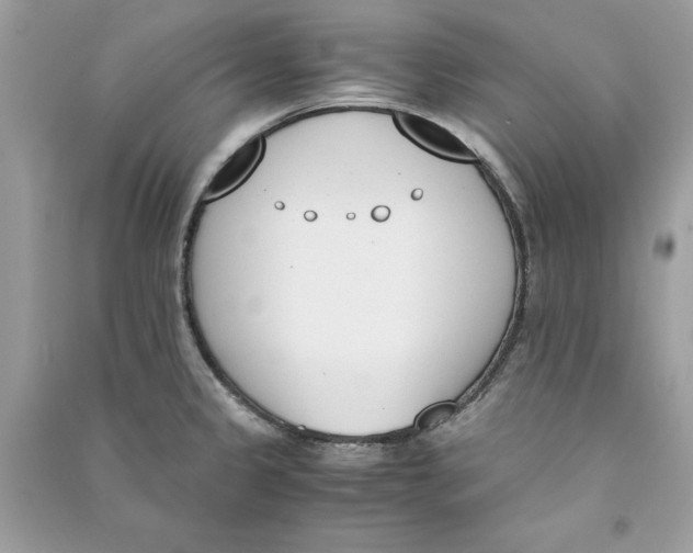 X0000090741333200708101654