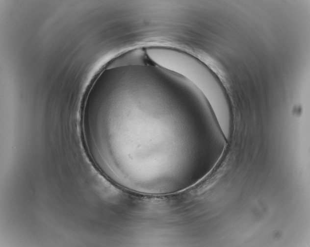 X0000090741334200708101654