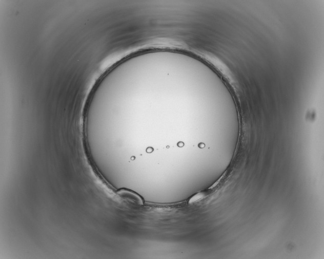 X0000090741335200708101654