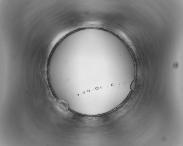 X0000090741336200708101654