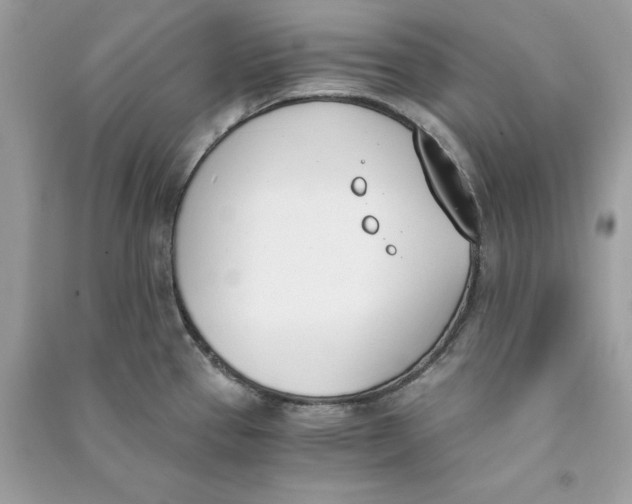 X0000090741337200708101654