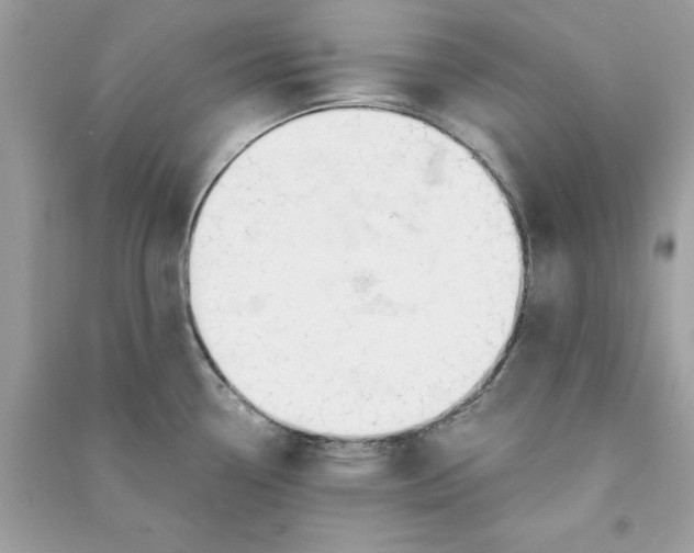 X0000090741338200708101654