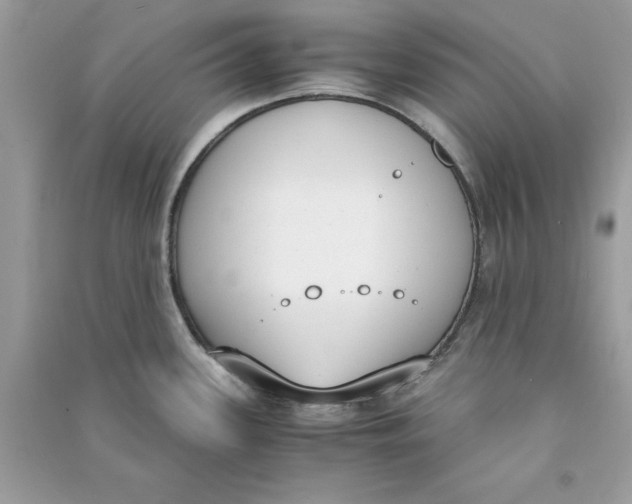 X0000090741339200708101654