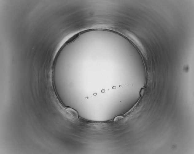 X0000090741340200708101654