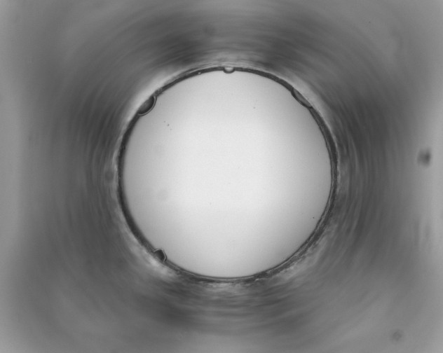 X0000090741341200708101654