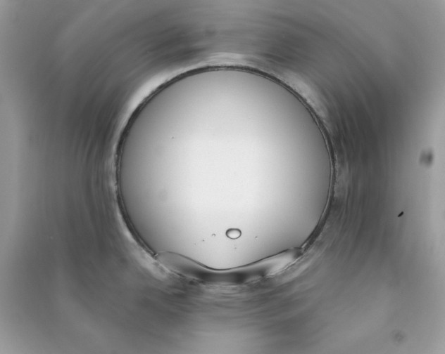 X0000090741342200708101654