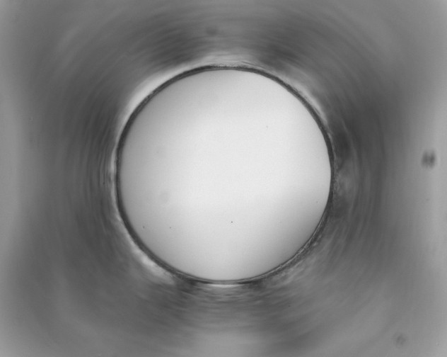 X0000090741343200708101654