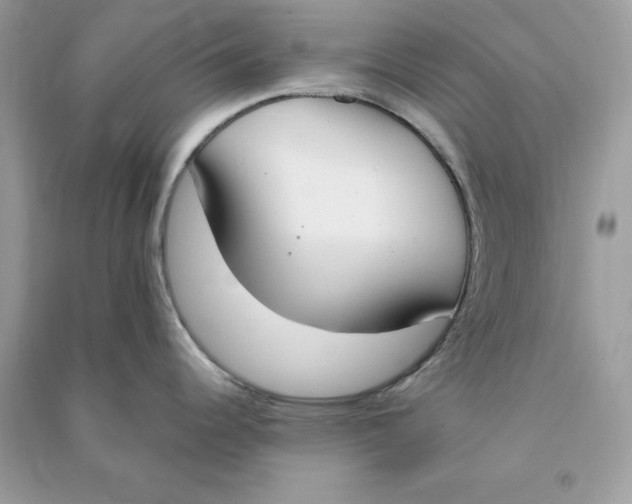 X0000090741344200708101654