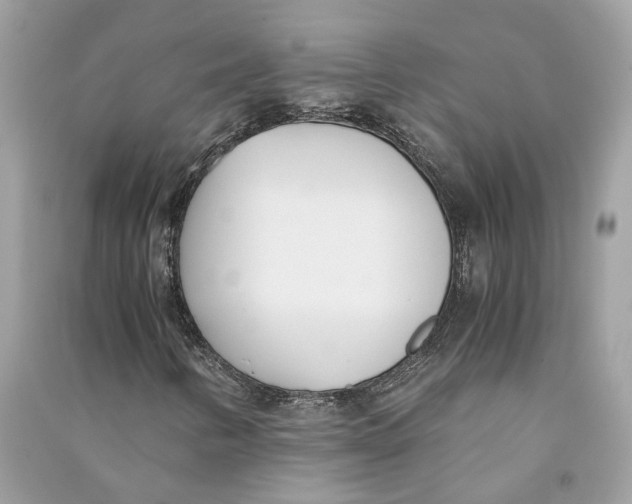 X0000090741346200708101653